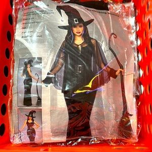 Dream Girl costume Bewitching Beauty